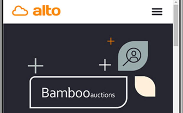 Bamboo Auction image